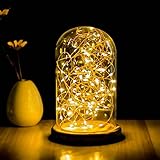 Ywyun 装飾ランプ、LED、ルームダイニングルームデン寝室の装飾的なライトを生きて、木のガラスnightlightsを招待