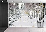 wall26 - 貼ってはがせる ウォールペーパー Lサイズ 壁画シリーズ 66"x96" WMR-WP-X-D384-66x24x4