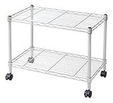 山善(YAMAZEN) メタルラック (幅60 奥行35 高さ46) 2段 キャスター付き クロムシルバー TMJ-40632CH