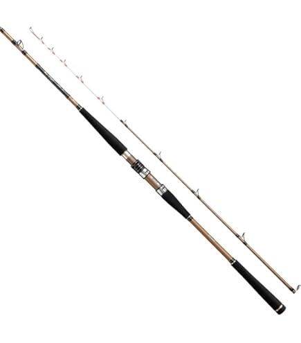 シマノ船竿(2本セット) 61VexbMy89L._UF350,350_QL50_.jpg