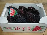 奈良県　平群町産 種無しぶどう　デラウェア 2kg入り　ブドウ　デラウエア