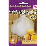 ジャンボにんにく 3球