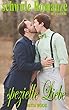 schwule Romanze: spezielle Liebe (Geschichten für Erwachsene) (German Edition)