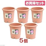 お買得セット リッチェル バラ鉢 ブラウン 8号 φ24×24cm お買い得5個入