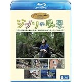 ジブリの風景 宮崎作品が描いた日本/宮崎作品と出会うヨーロッパの旅 [Blu-ray]