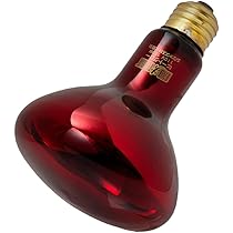 井戸川 Exo TERRA DAYLIGHT BASKIN 150W 6個 Amazon | GEX EXOTERRA サングロータイトビーム バスキング