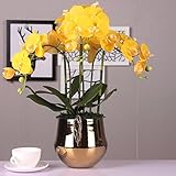 BAGEHUA の高品位 Pu を感じるファレノプシス花シミュレーションリビングルーム黄金の壺装飾された花の装飾が施され柔らかな花の装飾、 B スイート