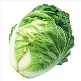 【メール便配送】　国華園　野菜たね　ハクサイ　F1イマージュ白菜　1袋(5ml)【※発送が国華園からの場合のみ正規品です】