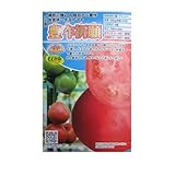 ダイヤ交配　豊作祈願トマト　トキタ種苗の大玉トマト品種です。