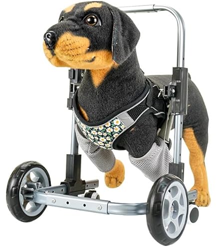 Amazon.co.jp: 犬 車椅子 前足をサポートする4輪犬用車椅子