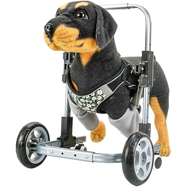 Amazon.co.jp: 犬 車椅子 前足をサポートする4輪犬用車椅子、 前足負傷
