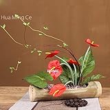 BAGEHUA 新しい中国の人工花鍋シミュレーションアンスリウムグリーン元の竹の花瓶セットシミュレーション花装飾花の花、図