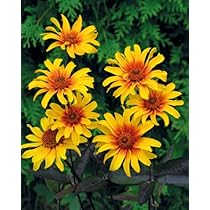 51V1KNk-3nS._AC_UL210_SR210,