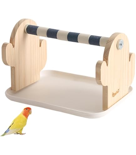 Amazon.co.jp: 鳥止まり木 天然木 スタンド インコ オウム 文鳥 鳥