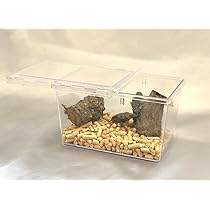中古クリアスライダー　★32セット★　クワガタ、カブトムシ 中古クリアスライダー ☆32セット☆ クワガタ、カブトムシ 中古
