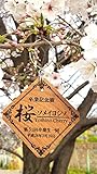 ＜受注生産＞ 記念樹プレート （吊下げ用フック付き：　ゴールド)