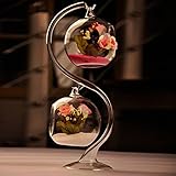 diy micro landscape hanging ball shape glass plant vase home