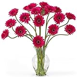 Gerber Daisy Liquid Illusion Silk Flower Arrangement Beauty