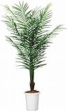 コクヨ　人工植物〈アイレストグリーン〉　アレカパーム　高さ1800mm