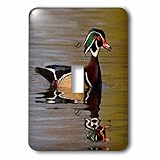 Danita Delimont – Ducks – Wood Duck Drake – 照明スイッチカバー – シングルトグルスイッチ( LSP _ 228417 _ 1 )
