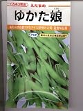 ゆたか娘 カネコ種苗のエダマメ種です