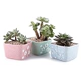 T4U 9CM 陶器鉢 和風臘梅 スクエア 多肉植物 サボテン鉢 フラワーポット プランター容器 3個セット（3色）