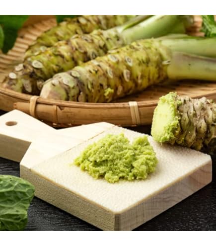 Amazon | 伊豆天城産実生生わさび1本（51〜60g） 本わさび 山葵 静岡県