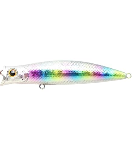 Amazon.co.jp: ラッキークラフト(LUCKY CRAFT)サーフェス