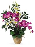 Nearly Natural 1071-OC Double Phalenopsis/Dendrobium Silk Flower Arrangement, Orchid/Purple by Nearl