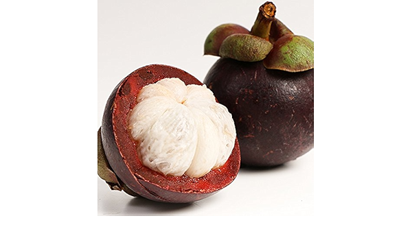 Amazon フレッシュマンゴスチンlサイズ 1ケース6 7玉入り フルーツ マンゴスチン Gc オーガニックサイバーストア トロピカルフルーツ 通販