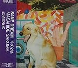 SANE DREAM�`���C�̖��`