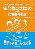 数学の研究をはじめようⅨ　完全数ことはじめから代数幾何概論