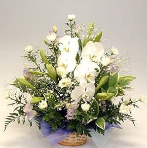 Amazon Co Jp エーデルワイス お供え花束3l 色 色を入れて寂しくなく 花材はおまかせ デザイナーズチョイス 花工房 花贈り ギフト ホーム キッチン