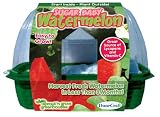 DuneCraft Sprout 'n Grow Greenhouses Sugar Baby Watermelons [並行輸入品]