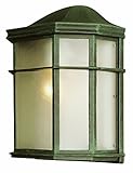 Trans Globe Lighting 4484 VG 9-3/4-Inch 1-Light Outdoor Wall Pocket Lantern, Verde Green [並行輸入品]