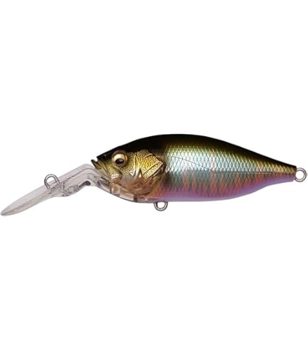 Amazon.co.jp: メガバス(Megabass) ルアー DEEP-X 100 LBO(ディープX Amazon.co.jp: メガバス(Megabass) ルアー DEEP-X 100 LBO(ディープX