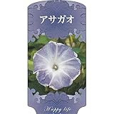 【1000枚】 AC 1型 アサガオ ASAGAO-012 ポリポット用 ラベル 名札 育苗 アンドウケミカル カ施 代不