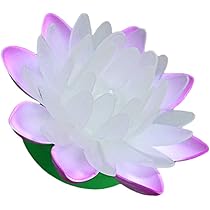 571】ガラス製 蓮 ブルー | ecotechnee.com.br