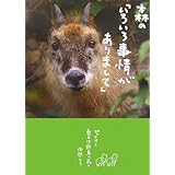 森の「いろいろ事情がありまして」