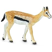 動物セル画 Amazon | Safari (サファリ) トムソンガゼル 動物 フィギュア