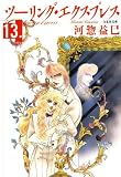 ツーリング・エクスプレス 13 (白泉社文庫)