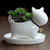 Liebeye 植木鉢 陶器 動物形 激可愛い 卓上 装飾 多肉植物 ミニ 小型 カップル シープ シェイプ 白い キャラクター 個性 かわいい おしゃれ 犬形