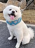 Hakona 犬 クールネックネッククーラー 首 冷やすひんやりグッズ 夏熱中症対策 グッズ 犬 冷却 首保冷剤なしクールリング ひんやり猫 暑さ対策 首 冷感タオル犬 バンダナペット冷却首輪 お散歩通気性薄手 涼しい 首飾り小型犬 中型犬 大型犬 可愛いドッグウエア 冷却スカーフ（M,ブルー首輪）