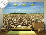 wall26 - 自着性ウォールペーパー Large Wall Muralシリーズ 100"x144" WMR-WP-X-C354-100x24x6