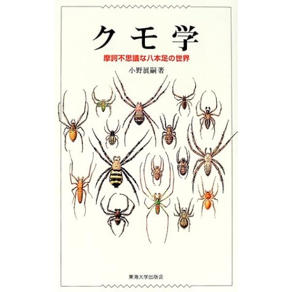 クモ学 摩訶不思議な八本足の世界 小野 展嗣 本 通販 Amazon