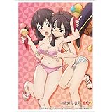 ブシロード スリーブコレクション ハイグレード Vol.3869 この素晴らしい世界に爆焔を!『ゆんゆん&めぐみん』