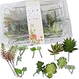 たにくごっこ フェイク 造花 多肉植物カット苗 おまかせ20～22個セット フェイクグリーン アートフラワー 寄せ植え 鉢植え リース インテリア 枯れない植物 人工観葉植物 DIY 材料 雑貨 セダム (B)