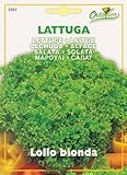 【HORTUS社種子】【Art.3391】レタス・ロロビオンダ
