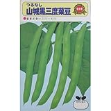 つるなしいんげん 種 【 山城黒三度 】 種子 小袋（約30ml）