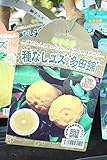 果樹苗 接木 種無しゆず 多田錦 1年生 【送料込価格】
